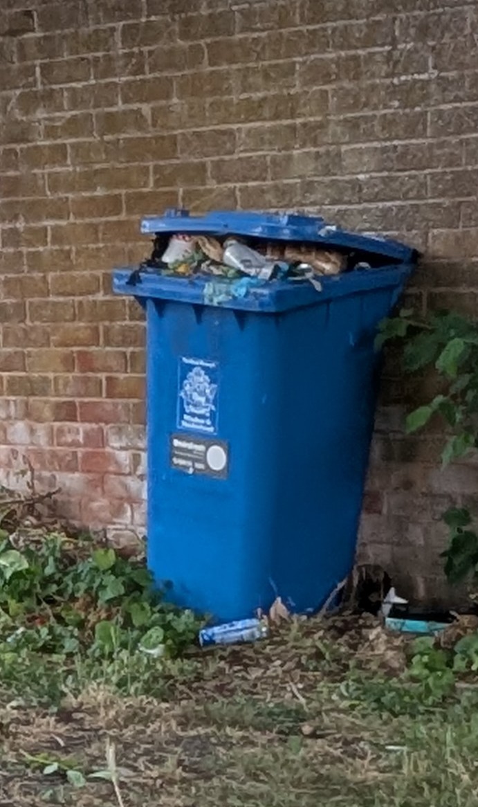 Uncleared Litter Box